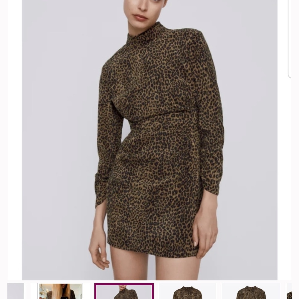 Zara Brown Leopard Long Sleeve Dress